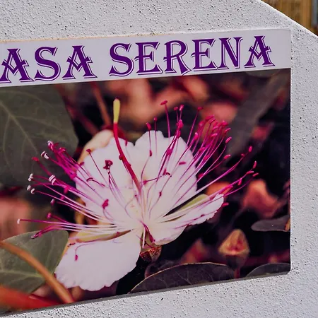 Casa Serena Vakantiehuis *